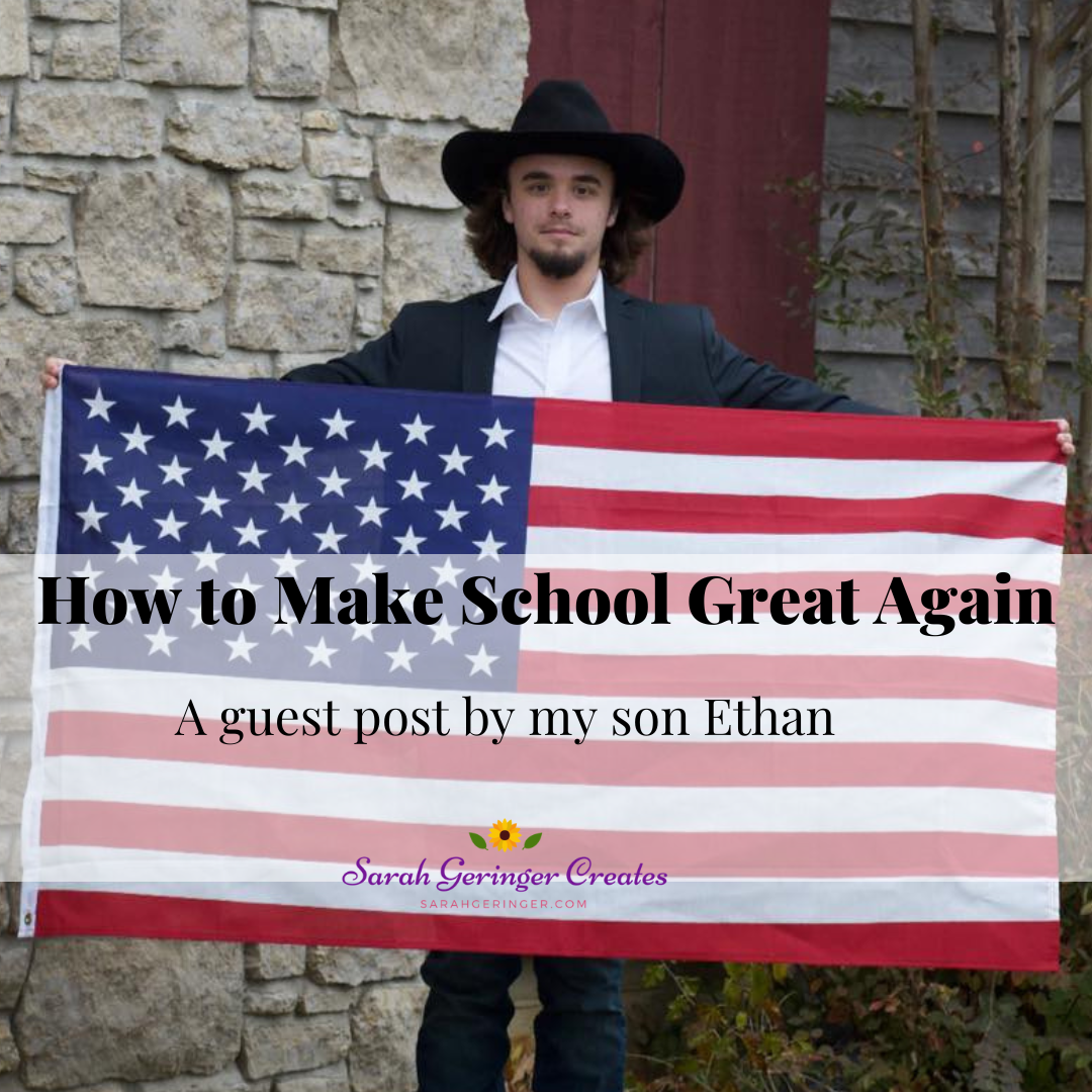 How to make school great again sarah geringer